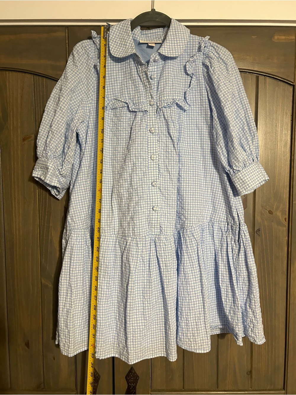 Sandy Liang Light Blue Gingham Ruffle Button-Front Mini Dress